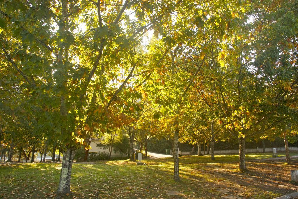 Góis Camping Exterior foto